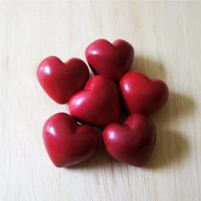 Set of 6 Red Hearts