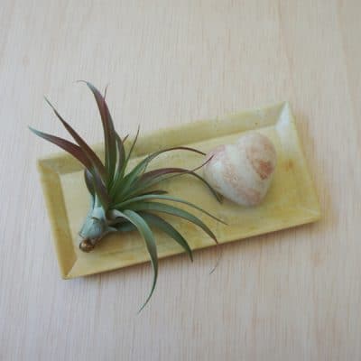 Natural Rectangle Dish