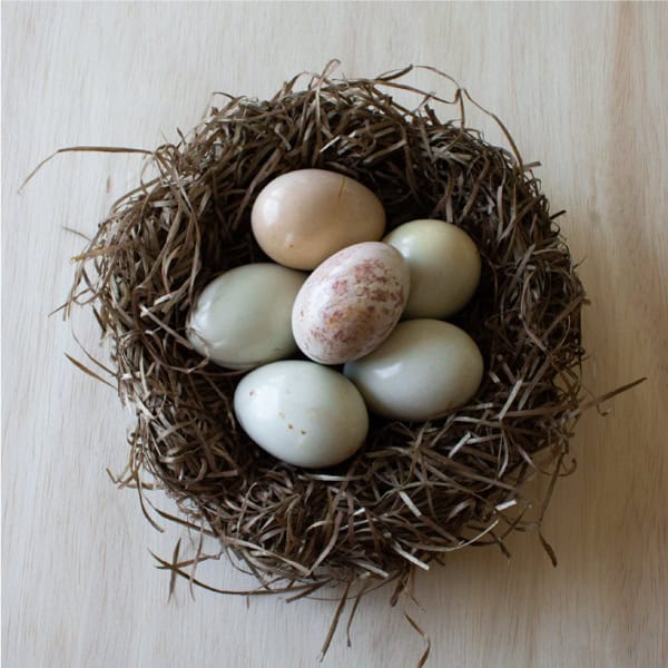 Set of 6 Natural Eggs - Image 2