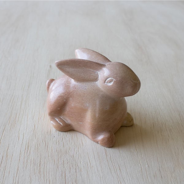 Natural Bunny Lying